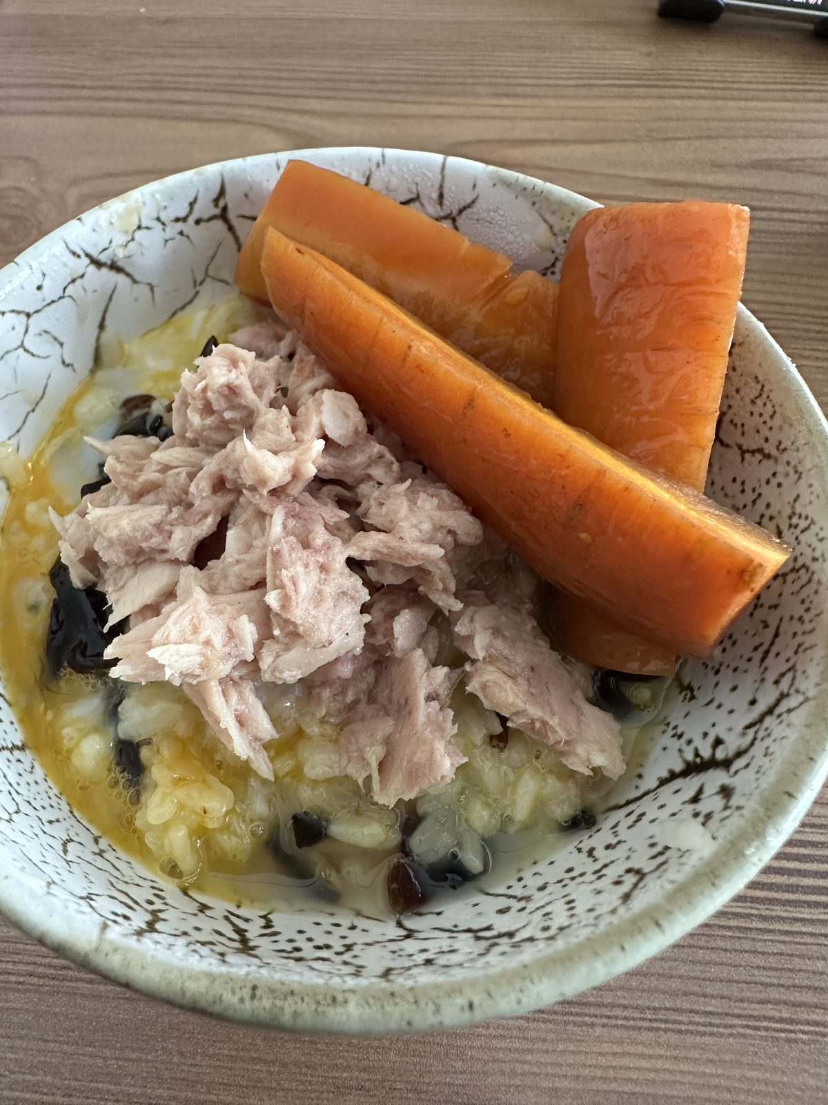 昼食（14:25頃）— 白米ご飯・ツナ水煮・温泉卵・にんじん・しそきくらげ（黒い粒）