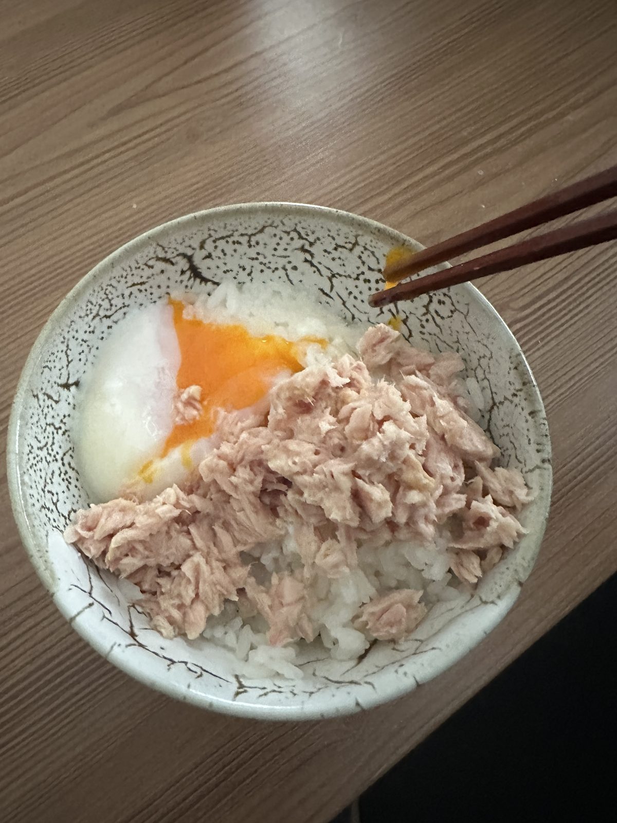 夕食（17:13頃）— 白米ご飯・ツナ水煮・温泉卵